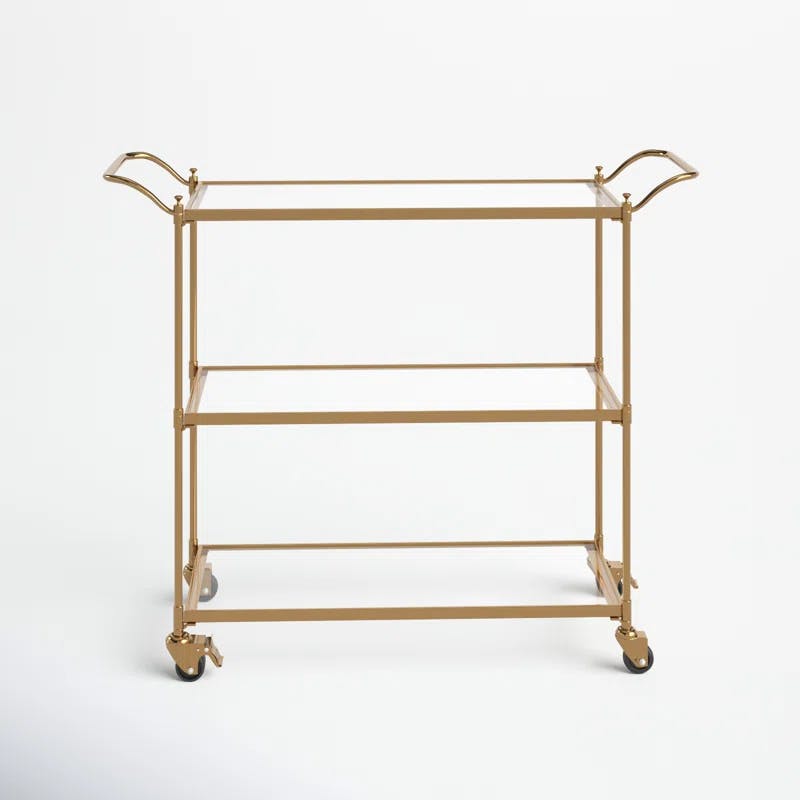 Tenaya Brass Iron Rectangular Bar Cart with Storage
