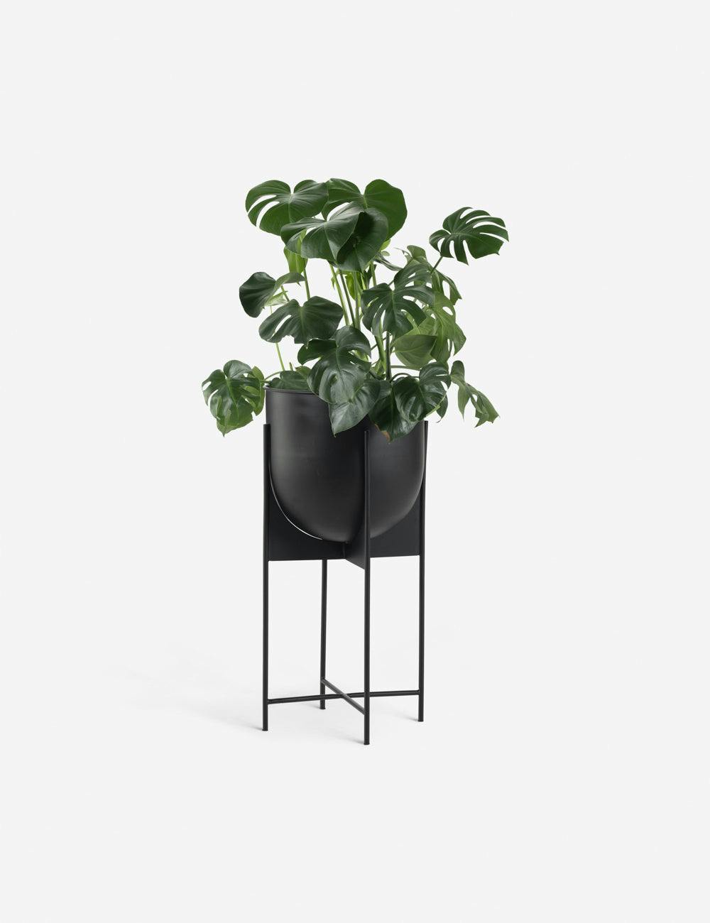 Elroy Sleek Black Iron Indoor/Outdoor Planter, 15"x30.5"
