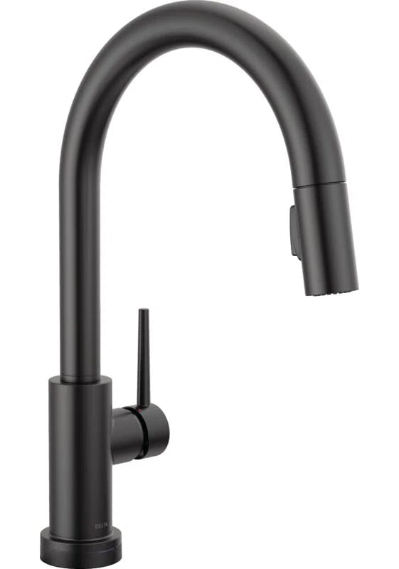 Sleek Stainless Steel Pull-Down Kitchen Faucet with Voice and Touch Control