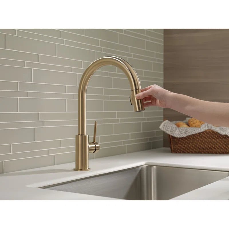 Modern Elegance 15'' Bronze Brass Pull-Out Spray Kitchen Faucet
