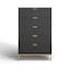 Black Pearl Contemporary Mahogany 5-Drawer Chest with Gold Accents