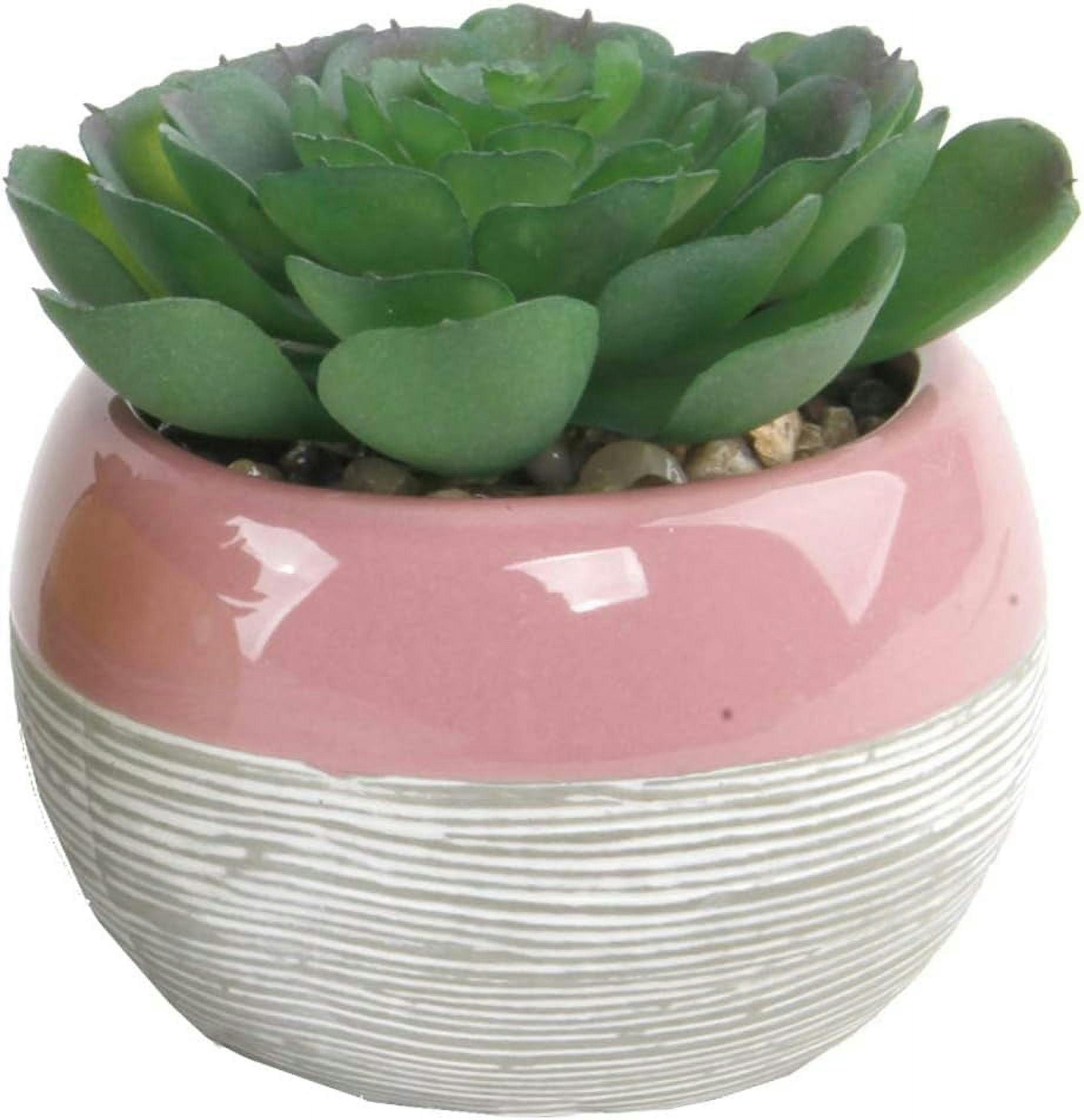 Lifelike Tabletop Faux Succulent in Artisanal Pink Ceramic Pot