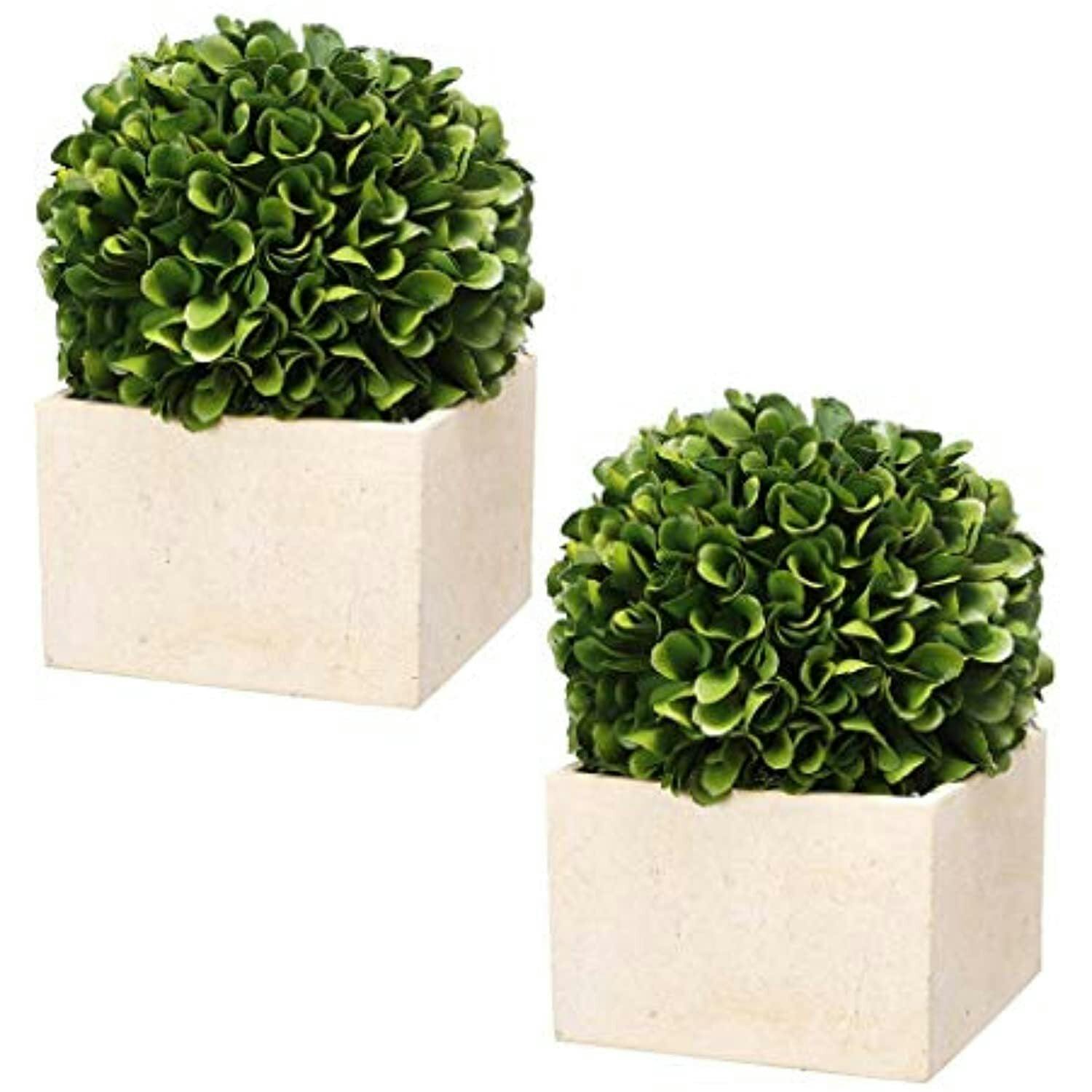 Vibrant Green Faux Boxwood Topiary in Modern Square Pot