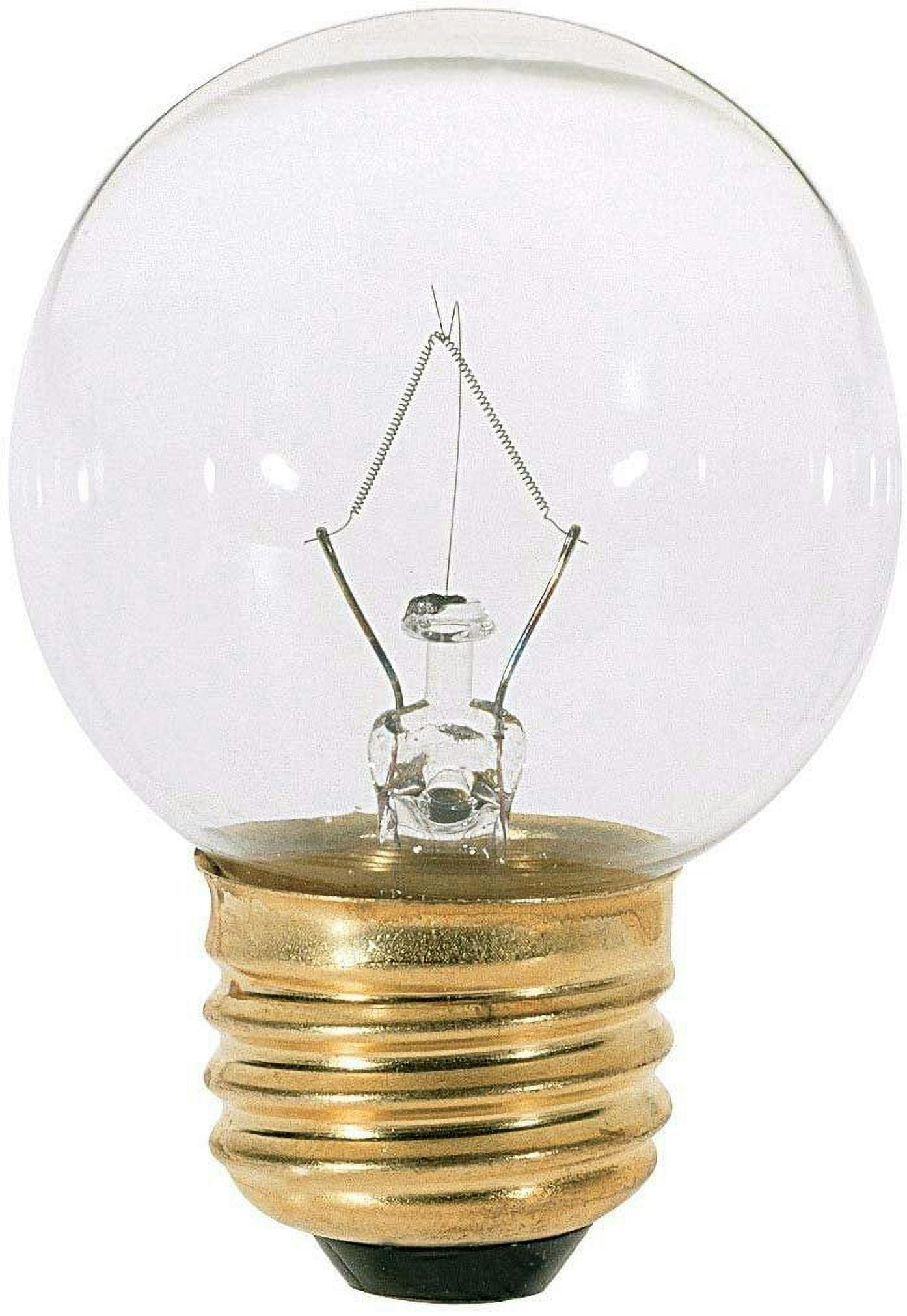 Edison-Inspired Clear Tungsten Filament G16 1/2 Decorative Bulb