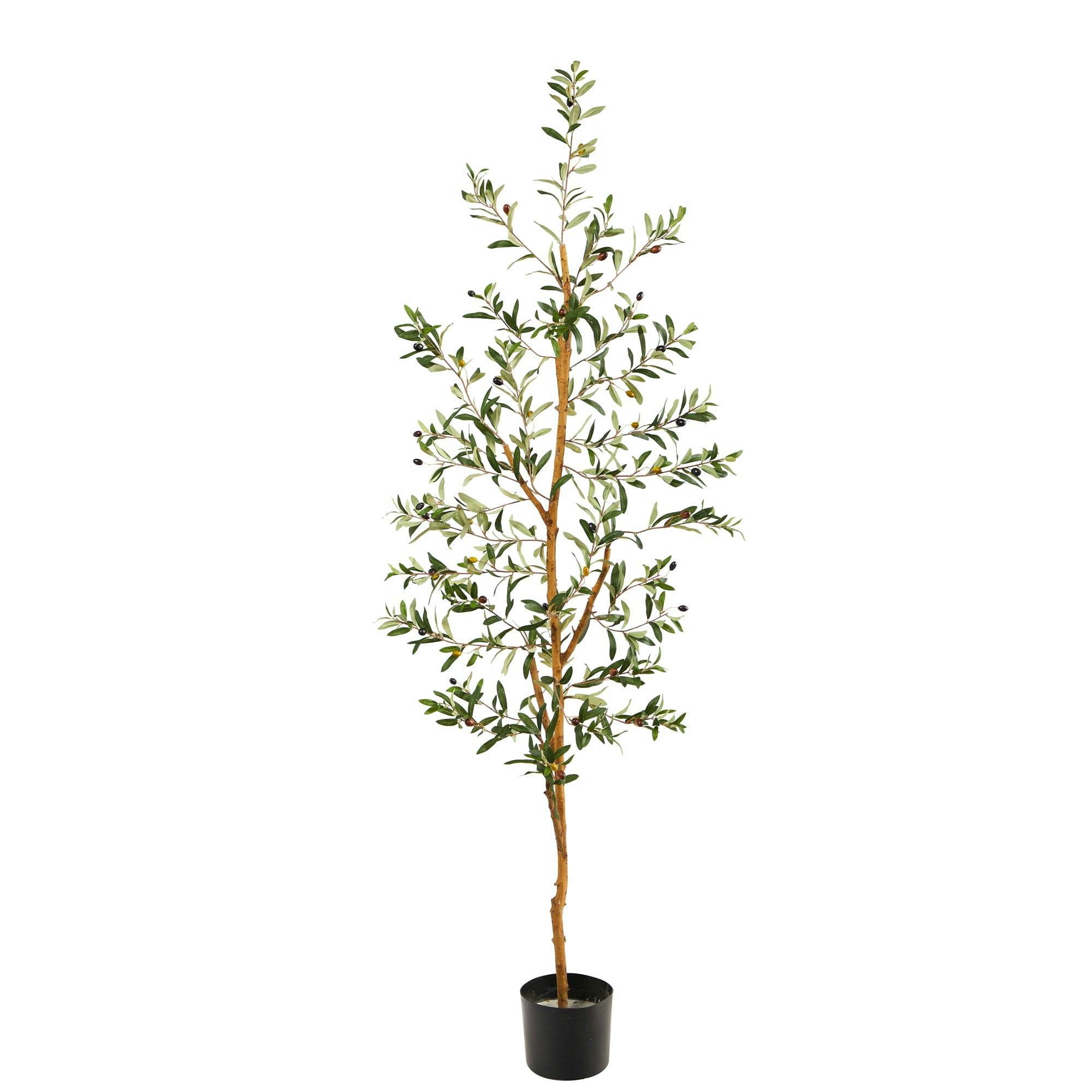 Elegant 5.5' Mediterranean Olive Silk Tree with Black Pot