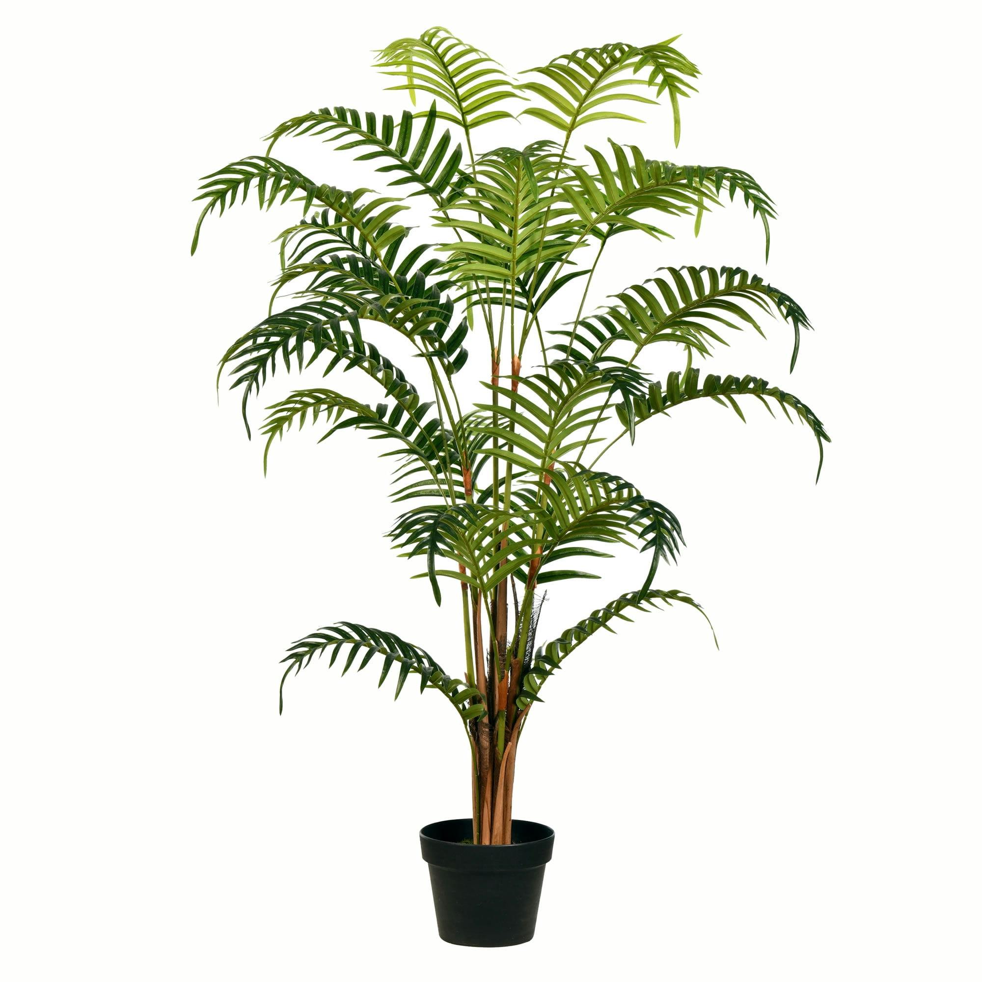 Tropical Oasis 58" Real Touch Fern Floor Plant in Black Planter