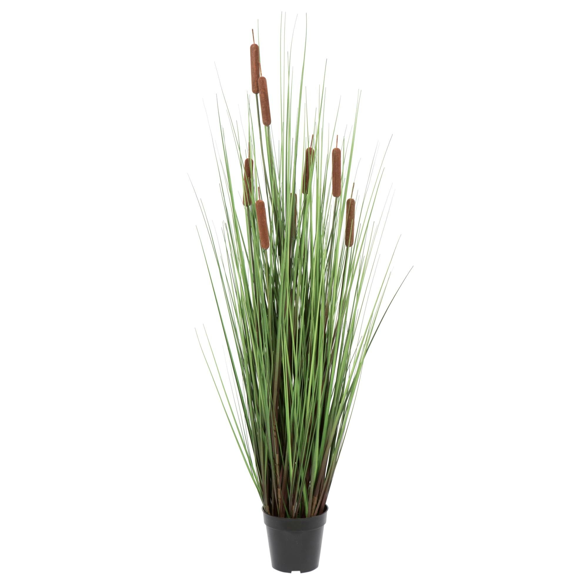 Lifelike 48" Green Grass and Cattails Potted Arrangement in Black Planter