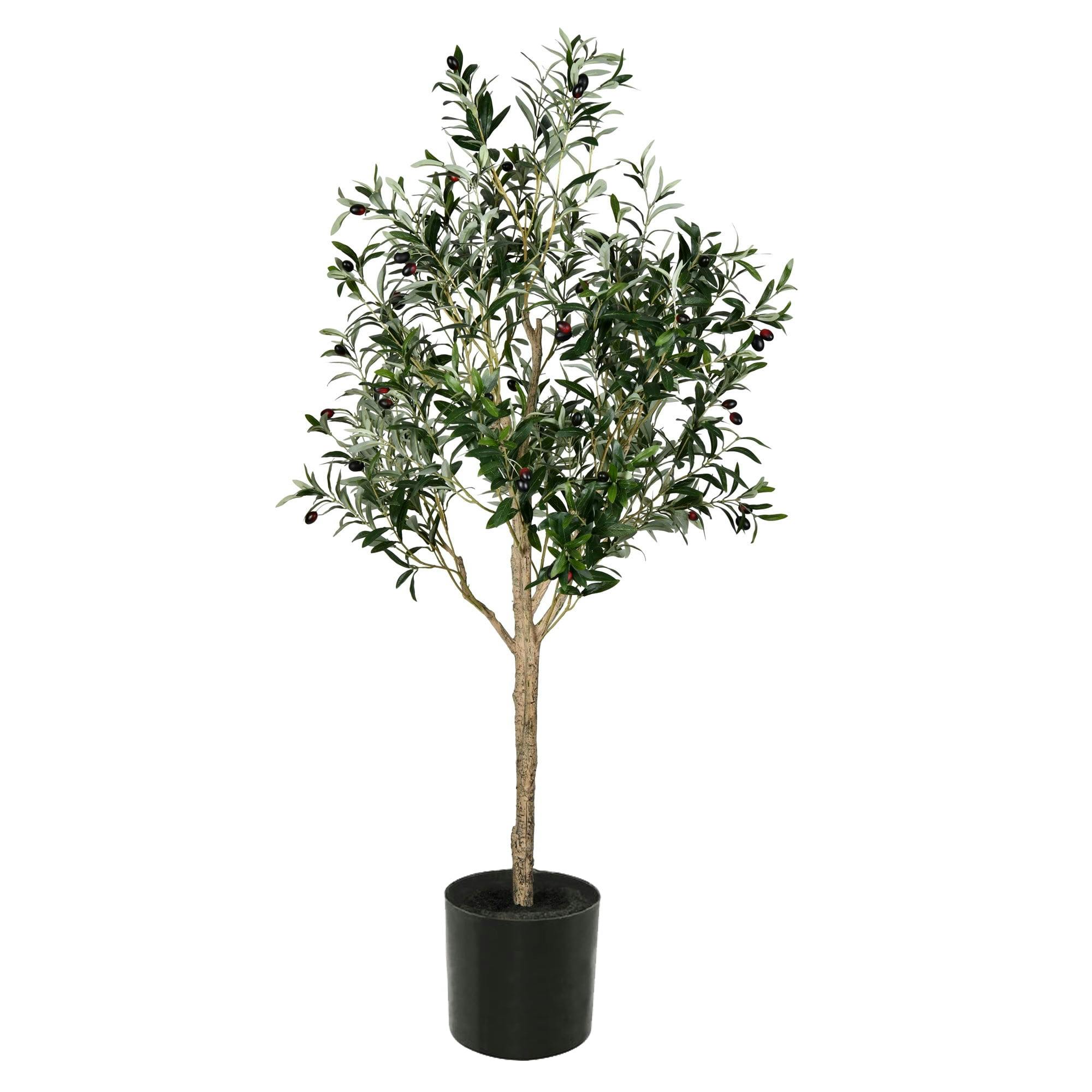 Lush Lifelike Potted Olive Tree with 56 Olives - 63" Height