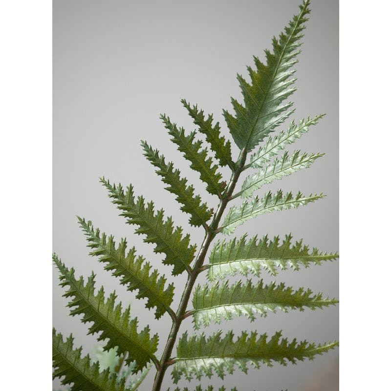 Verdant Charm 12" Plastic Potted Outdoor Fern