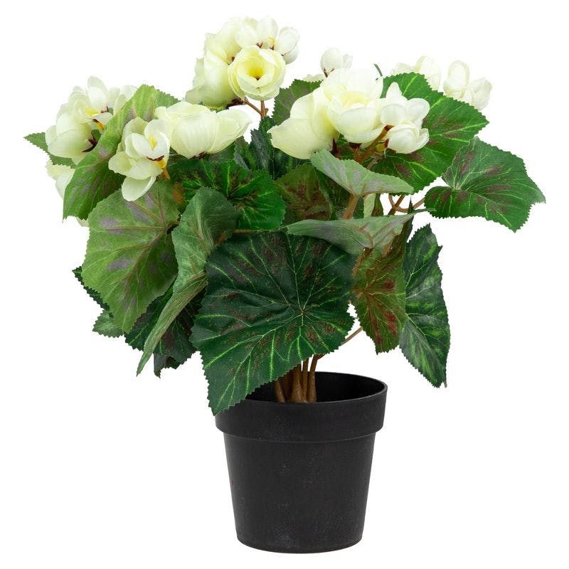 Serene Cream Silk Begonia in Black Pot 11" Artificial Floral Display