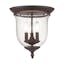Bronze Legacy 3-Light Seeded Glass Jar Indoor/Outdoor Flush Mount