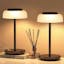 Urien Sleek Black Mushroom-Inspired Cordless Table Lamp
